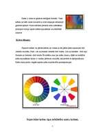 Referāts 'Matu krāsošana', 5.