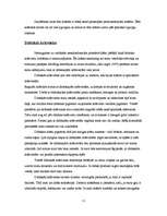 Referāts 'Matu krāsošana', 9.