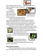 Referāts 'Matu krāsošana', 10.