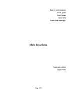 Referāts 'Matu krāsošana', 17.