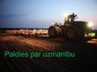 Prezentācija 'Lopbarības augi', 20.