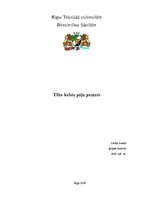 Paraugs 'Tilta balstu pāļu pamata aprēķins', 1.