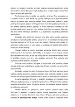 Paraugs 'Konstitucionālā sūdzība', 2.