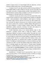 Paraugs 'Konstitucionālā sūdzība', 5.