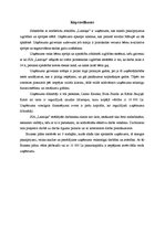 Biznesa plāns 'Sabiedrība ar ierobežotu atbildību "Laimiņa"', 3.