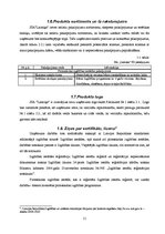 Biznesa plāns 'Sabiedrība ar ierobežotu atbildību "Laimiņa"', 11.