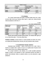 Biznesa plāns 'Sabiedrība ar ierobežotu atbildību "Laimiņa"', 20.