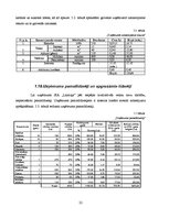 Biznesa plāns 'Sabiedrība ar ierobežotu atbildību "Laimiņa"', 22.