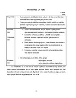 Biznesa plāns 'Sabiedrība ar ierobežotu atbildību "Laimiņa"', 25.