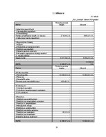 Biznesa plāns 'Sabiedrība ar ierobežotu atbildību "Laimiņa"', 28.