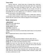 Referāts '"Sporta Avīzes" un portāla "eSports.lv" salīdzinājums', 3.