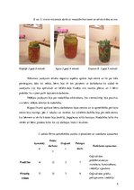 Diplomdarbs 'Kvalifikācijas darbs pirmsskolā', 34.