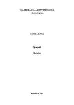 Referāts 'Spoguļi', 1.