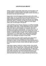 Referāts 'Spoguļi', 4.