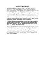 Referāts 'Spoguļi', 5.