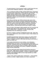 Referāts 'Spoguļi', 6.