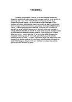 Referāts 'Spoguļi', 8.