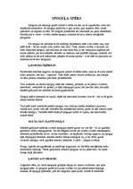 Referāts 'Spoguļi', 9.