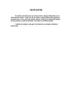 Referāts 'Spoguļi', 13.