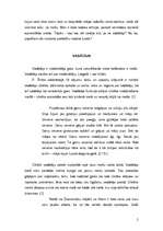 Referāts 'Vadātājs', 2.