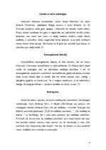 Referāts 'Vadātājs', 6.