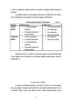 Referāts 'Tūrisma plānošana pagasta pašvaldībā', 8.