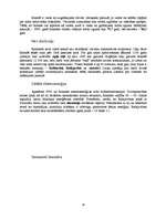 Referāts 'Islande', 18.