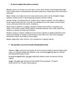 Konspekts 'Baltija 16.-18.gadsimtā', 4.