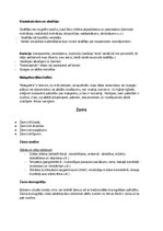 Konspekts 'Kino vēsture', 3.