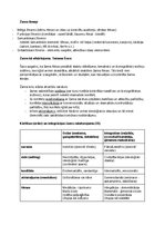 Konspekts 'Kino vēsture', 4.