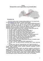 Referāts 'Tirdzniecības nama „Kurši” segmentācija un mērķa tirgus noteikšana', 15.