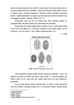 Diplomdarbs 'Lībiešu kultūra Latvijas mūsdienu telpā', 28.