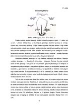 Diplomdarbs 'Lībiešu kultūra Latvijas mūsdienu telpā', 30.