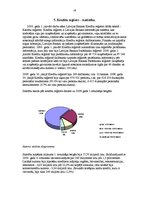 Referāts 'Fizisko personu kreditēšana komercbankās', 19.