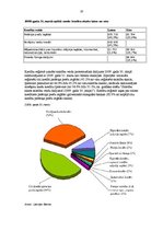 Referāts 'Fizisko personu kreditēšana komercbankās', 20.