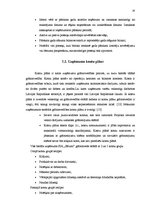 Prakses atskaite 'Prakses atskaite', 16.