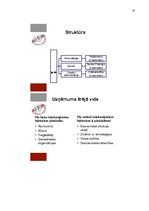 Prakses atskaite 'Prakses atskaite', 35.