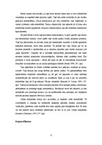 Referāts 'Zigmunda Freida socializācijas teorijas', 17.