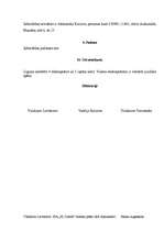 Biznesa plāns 'SIA "SL Dators" biznesa plāns', 39.