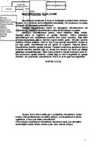 Referāts 'Minerālūdeņi', 2.