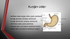 Prezentācija 'Kuņģis. Histoloģijas kurss', 3.