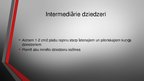 Prezentācija 'Kuņģis. Histoloģijas kurss', 23.
