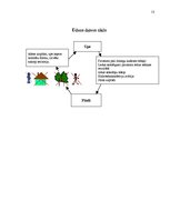 Referāts 'Dabas katastrofu ietekme uz apkārtējo vidi', 13.