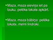 Prezentācija 'Pasākuma "Putnu dienas" scenārijs', 36.