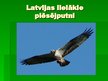Prezentācija 'Pasākuma "Putnu dienas" scenārijs', 73.