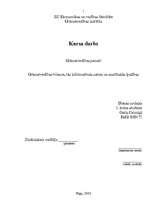 Referāts 'Grāmatvedības bilance, tās informatīvais saturs un analītiskās īpašības', 1.