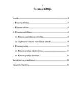 Referāts 'Grāmatvedības bilance, tās informatīvais saturs un analītiskās īpašības', 2.