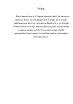 Referāts 'Grāmatvedības bilance, tās informatīvais saturs un analītiskās īpašības', 3.