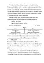 Referāts 'Grāmatvedības bilance, tās informatīvais saturs un analītiskās īpašības', 7.