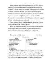 Referāts 'Grāmatvedības bilance, tās informatīvais saturs un analītiskās īpašības', 8.